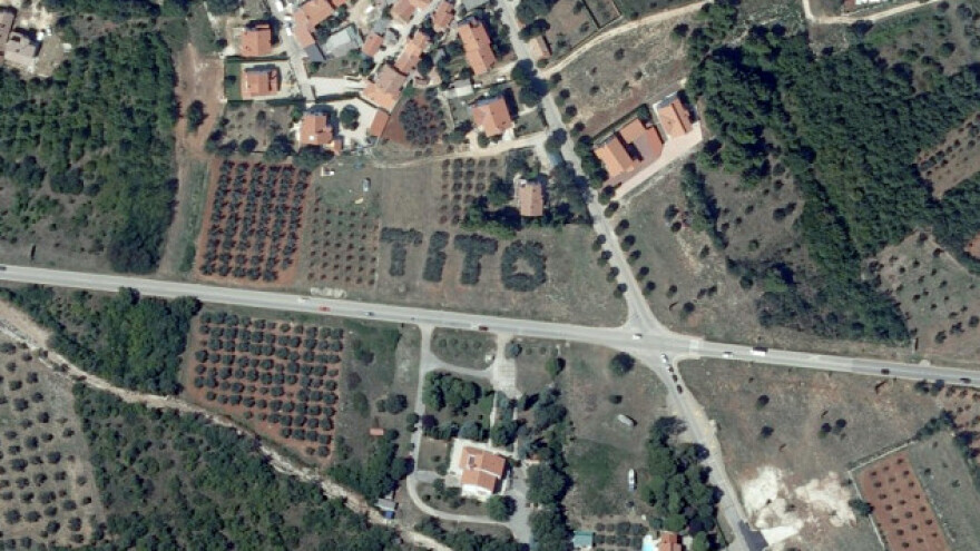 "Tito" maslinjak u Istri!