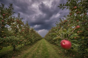 Tko to nebom šara i oblake stvara?