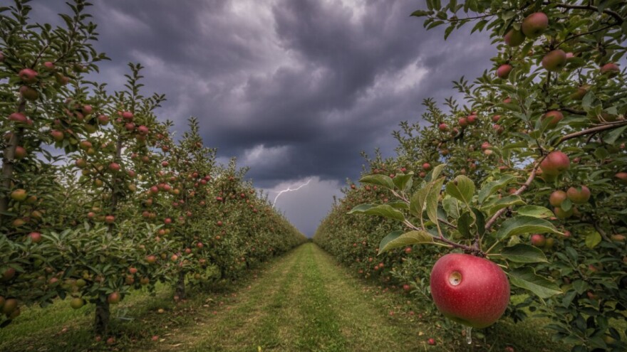 Tko to nebom šara i oblake stvara?