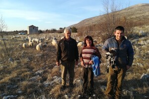 Krenuli s 12 ovaca, danas ih je u stadu 120 i kažu: od stočarstva se može živjeti