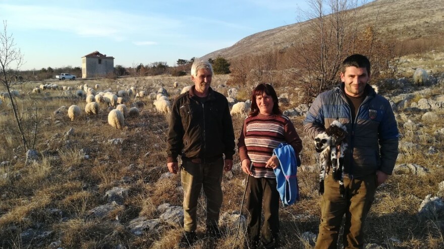 Krenuli s 12 ovaca, danas ih je u stadu 120 i kažu: od stočarstva se može živjeti