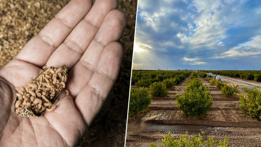 Tečna glina, biougalj i larve muha za veću plodnost zemljišta