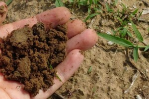 Spektroskopija - tehnologija budućnosti za očuvanje zdravlja tla