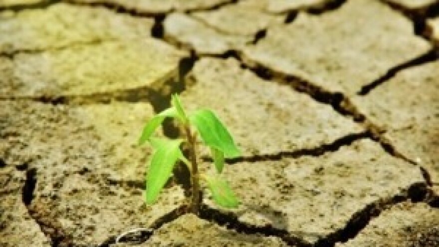 Gdje su nestala plodna tla?