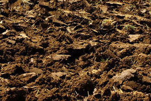 Agrotehničkim mjerama umanjimo utjecaj nedostatka oborina