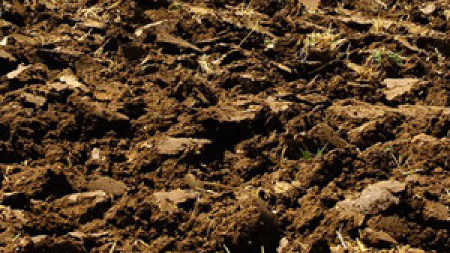 Agrotehničkim mjerama umanjimo utjecaj nedostatka oborina