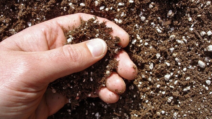 Slavimo Međunarodnu godinu tla!