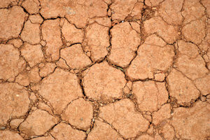 Obradu tla treba prilagoditi klimatskim uvjetima