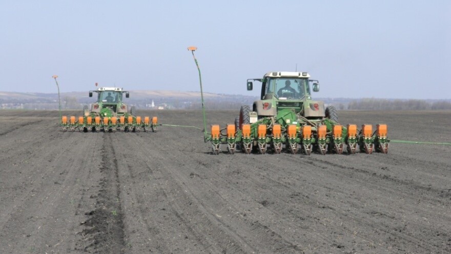 Šećerna repa: Priprema tla i sjetva