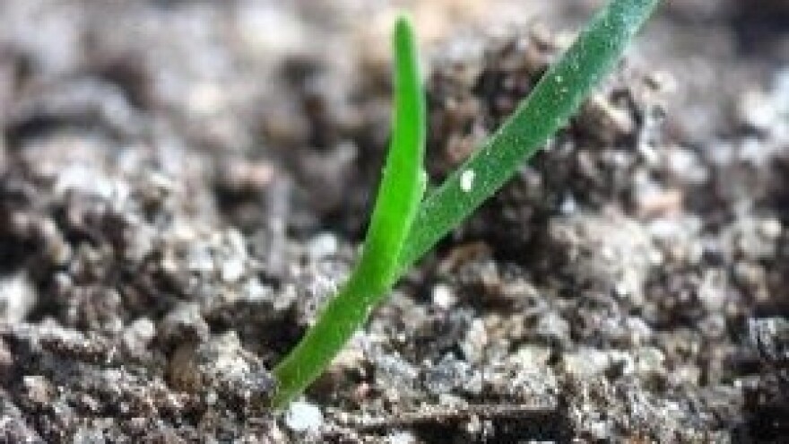 Promocija proizvoda iz linije Holcim Agrocal