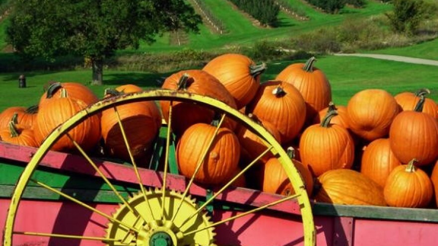 Rađa se etnoselo Barabe