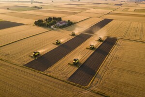 Todorić i Pipunić još u vrhu, dižu se Ergović i seljački vođe