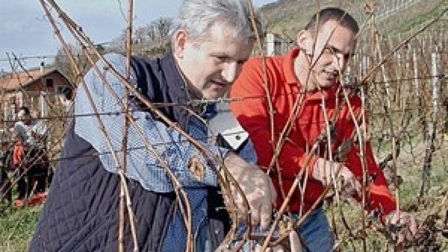 Prije pet godina samo za Belje Todoriću 101 mil. kn