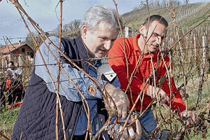 Todoriću zemlja u Srbiji