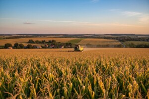 Todorićevim tvrtkama lani isplaćeno 174 milijuna kuna poticaja