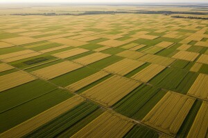 Todoriću zemlja u Srbiji