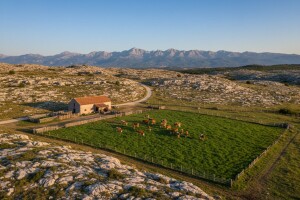 Tolušić: Odlučan sam osnažiti poljoprivredu