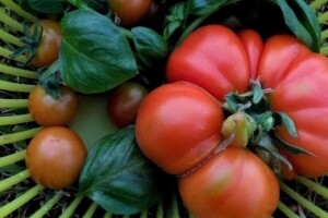 Osnovana Grupacija domaćih organskih proizvođača - strpljivo do većih površina