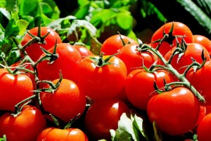208,7 miliona eura za projekt Hrana i prirodni resursi
