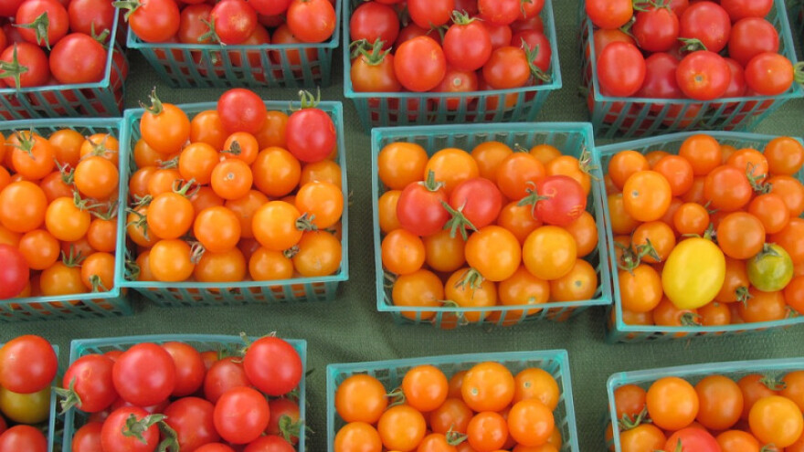 Domaći pradajz zaboravljen i zamijenjen uvoznom sortom