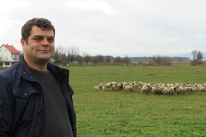 Od ličkog janjeta je i vuna slatka, a zasluge zaštiti idu Udruzi uzgajivača ovaca i Tomislavu Rukavini