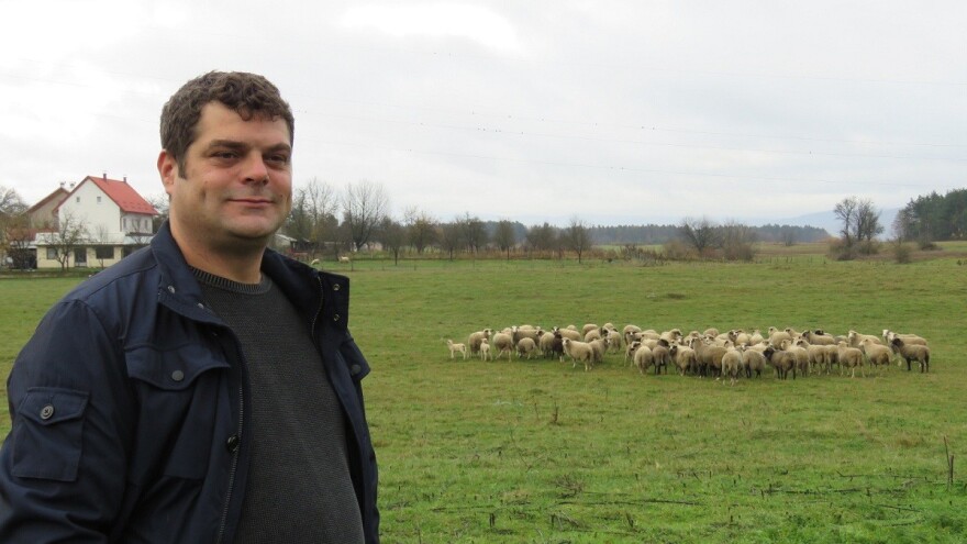 Od ličkog janjeta je i vuna slatka, a zasluge zaštiti idu Udruzi uzgajivača ovaca i Tomislavu Rukavini