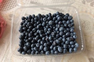 Borovnica bez tragova pesticida: Proizvodi posebne recepture