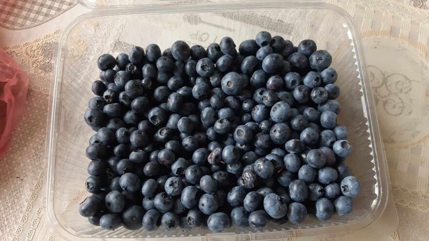 Borovnica bez tragova pesticida: Proizvodi posebne recepture