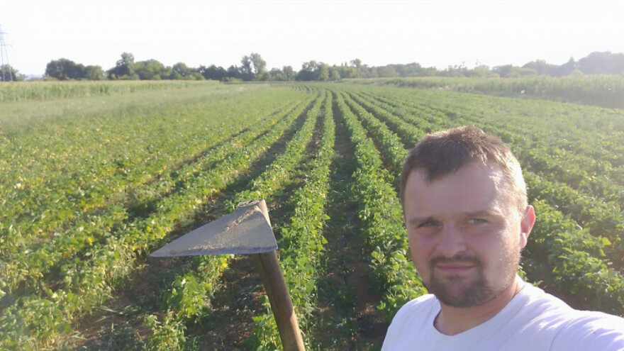 Američke borovnice uzgajaju u vrećama!