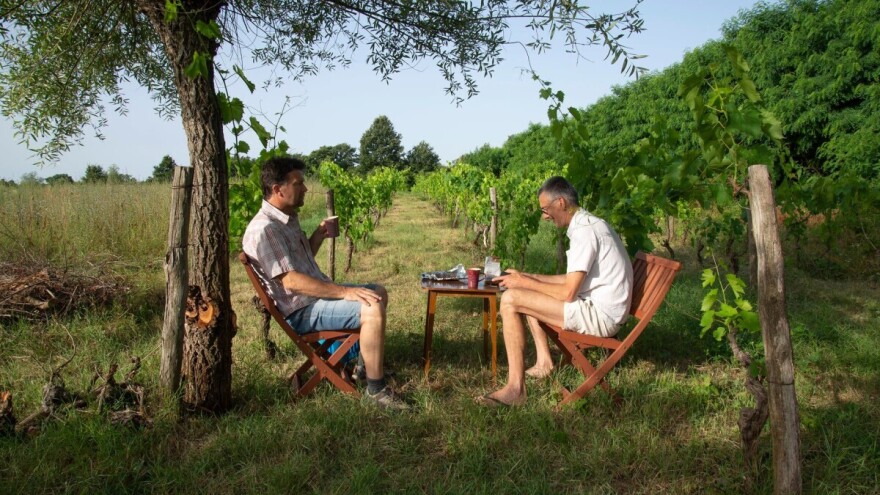 Tomislav Brajnović: Prirodna vina ovise o godini, iskrena su, neočekivana, drugačija i uzbudljiva