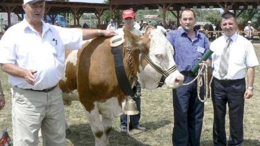 Međimurci najumješniji stočari!?