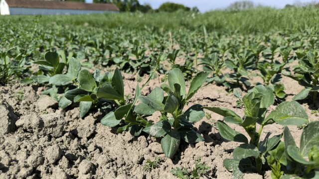 Bob oplemenjuje tlo, ali i novčanik? Evo tko je imao najveće površine prošle godine