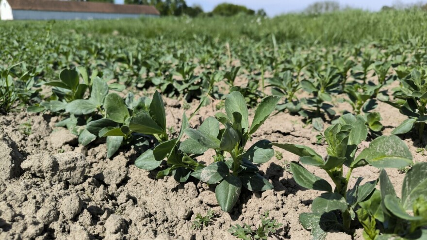 Bob oplemenjuje tlo, ali i novčanik? Evo tko je imao najveće površine prošle godine