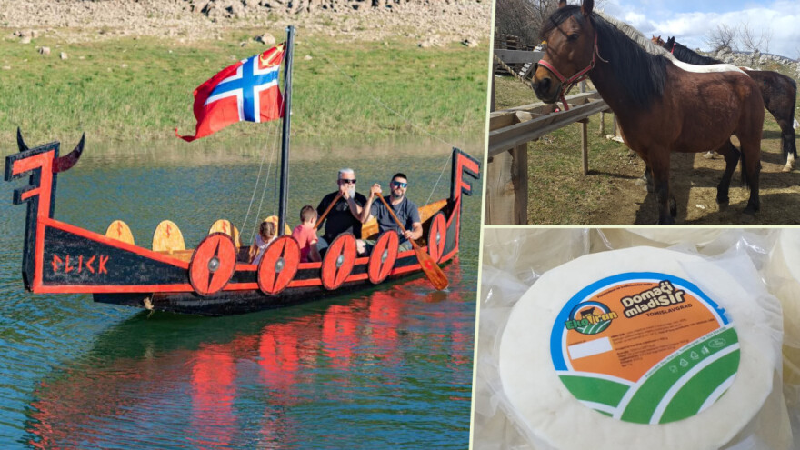 Od kralja do vikinga: U općini s najviše stoke, junica najtraženija