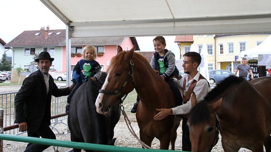 Prva izložba stoke i malih životinja u Ludbregu!