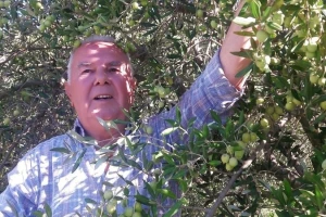 "Tamo gdje maslinu zima može odnijeti, ona najbolje ulje može donijeti"