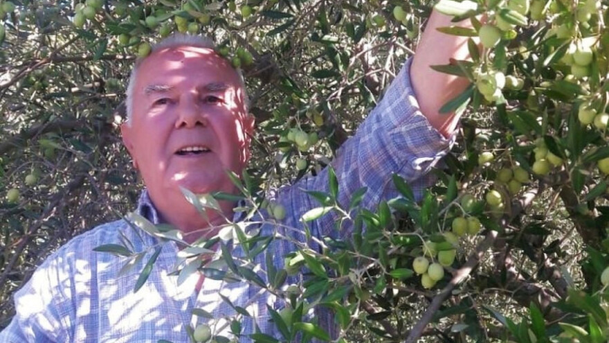 "Tamo gdje maslinu zima može odnijeti, ona najbolje ulje može donijeti"