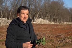 Raštika preživjela sve nedaće - cijena dobra, a strance oduševljava
