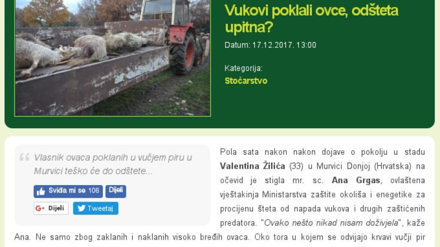 Top 10 najčitanijih priča u decembru