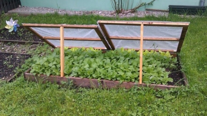 Tople leje - izvrsne za proizvodnju rasada