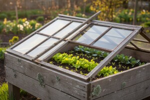 Tople leje - izvrsne za proizvodnju rasada