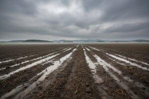 Toplije, oblačno i kišno!
