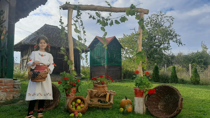 Seoski turizam u Topoli cveta, mladi ostaju na selu i investiraju u svoja imanja