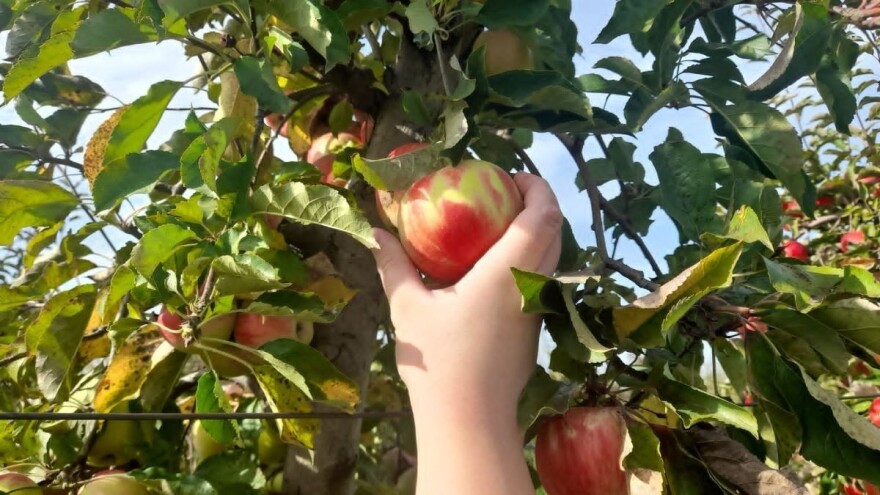 Topola najviše ulaže u seoski turizam, veliko interesovanje i za osiguranje