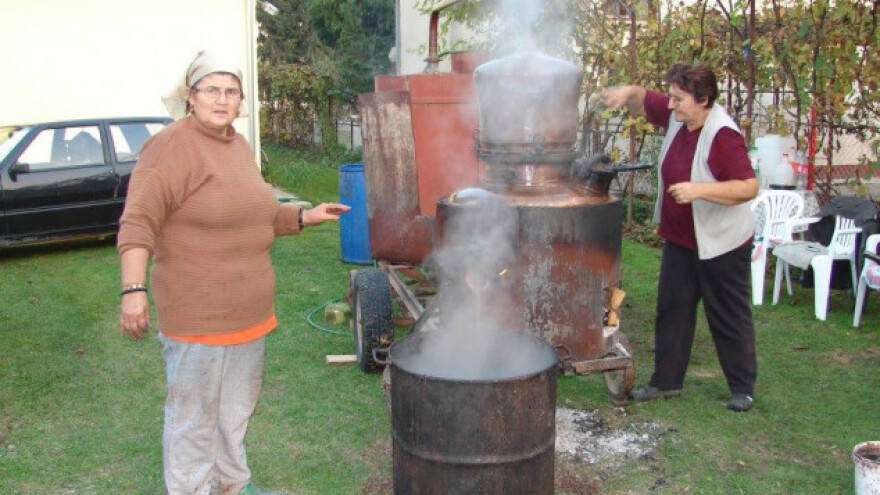 Zora, Vida i Mileva prave izvrsno vino i lozovaču