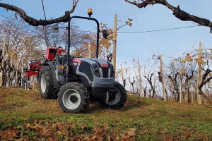Italijansko rešenje za uzgoj vinove loze na pergoli - Carraro tractors Compact VLB 75