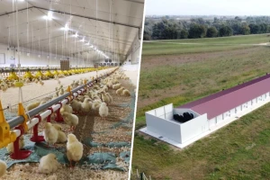 Kako će izgledati najmodernija farma pilića u komšiluku?