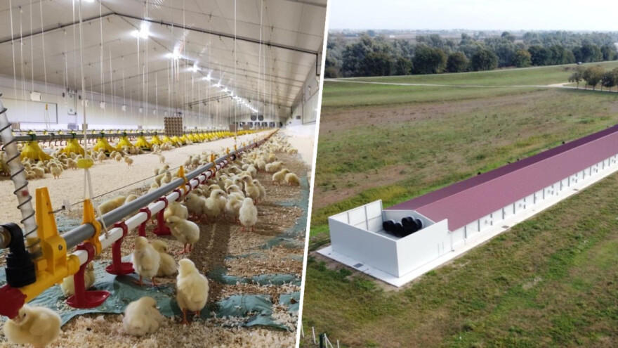 Kako će izgledati najmodernija farma pilića u Hrvatskoj, provjerili smo u Italiji