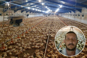 Peradari na mukama: Ili državi nije stalo do nas ili je nekome u interesu da se farme zatvore