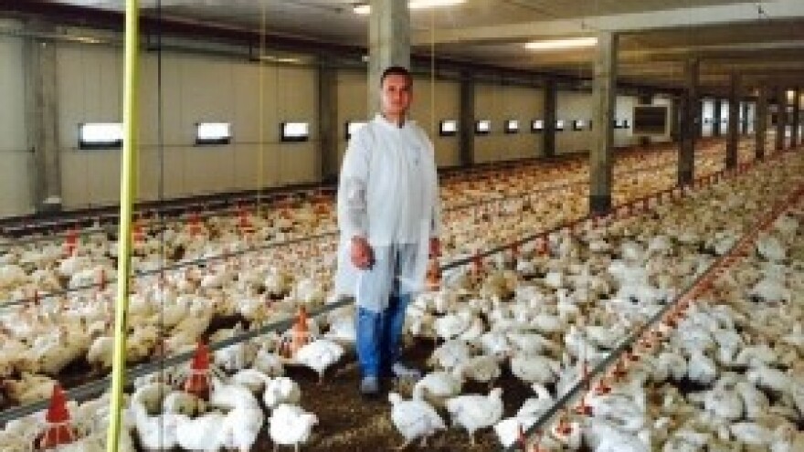 Kutjevo će proizvoditi bioplin i toviti piliće